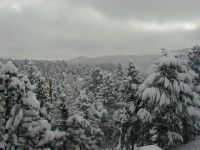 January Snow